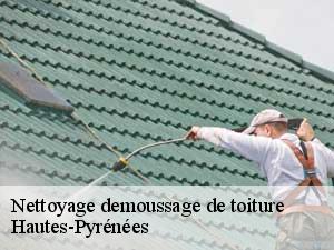 Nettoyage demoussage de toiture