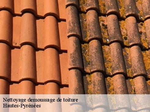 nettoyage-demoussage-de-toiture-asdp-couverture-8
