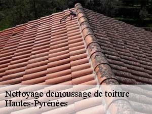 Nettoyage demoussage de toiture Hautes-Pyrénées 