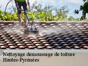 Nettoyage demoussage de toiture Hautes-Pyrénées 