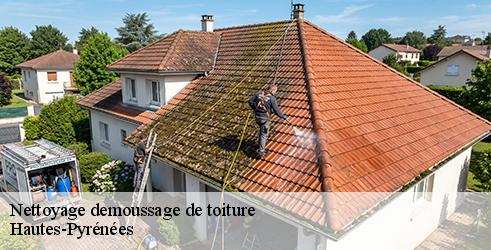 nettoyage-demoussage-de-toiture-l-art-du-toit-5