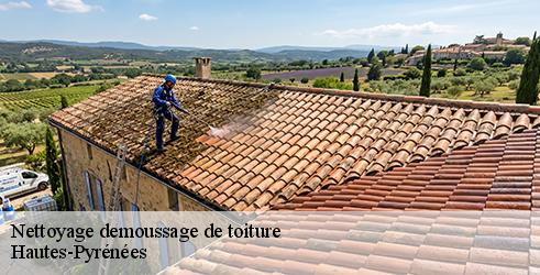 nettoyage-demoussage-de-toiture-l-art-du-toit-8