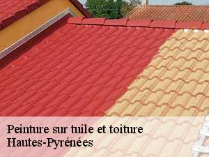 Peinture sur tuile et toiture