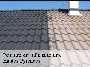 Peinture sur tuile et toiture Hautes-Pyrénées 