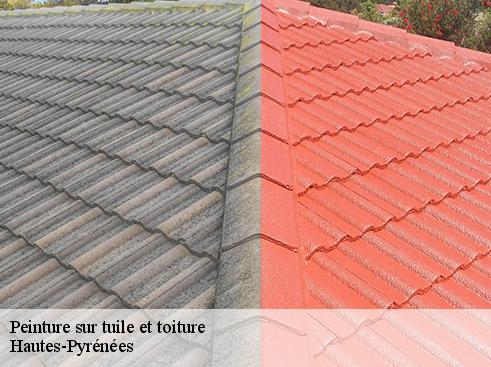 Peinture sur tuile et toiture Hautes-Pyrénées