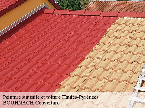 Peinture sur tuile et toiture Hautes-Pyrénées