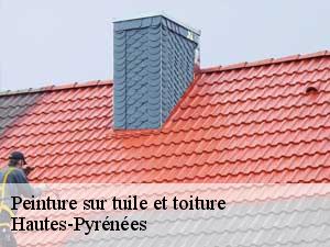 Peinture sur tuile et toiture Hautes-Pyrénées 