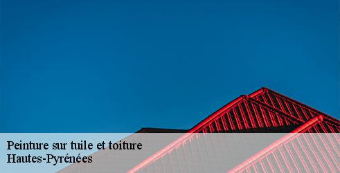 peinture-sur-tuile-et-toiture-l-art-du-toit-2