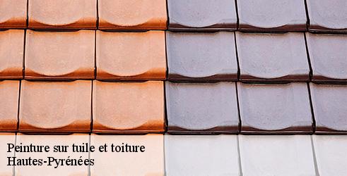 peinture-sur-tuile-et-toiture-l-art-du-toit-5