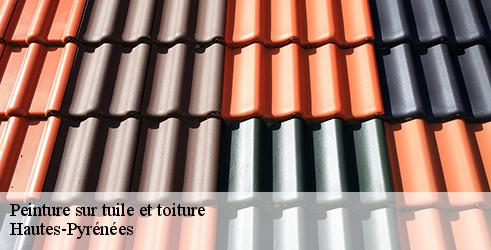 peinture-sur-tuile-et-toiture-l-art-du-toit-8