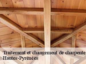 Traitement et changement de charpente