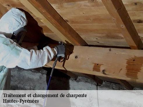 Traitement et changement de charpente Hautes-Pyrénées