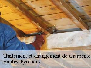 Traitement et changement de charpente Hautes-Pyrénées 