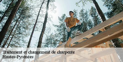 traitement-et-changement-de-charpente-l-art-du-toit-2
