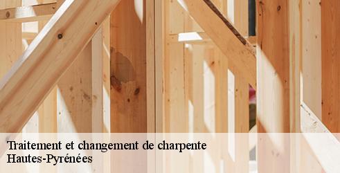 traitement-et-changement-de-charpente-l-art-du-toit-5
