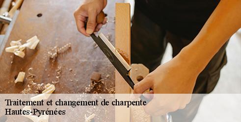 traitement-et-changement-de-charpente-l-art-du-toit-8