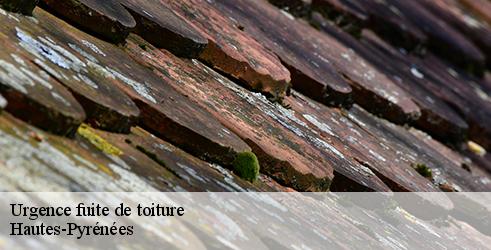 urgence-fuite-de-toiture-l-art-du-toit-2