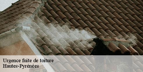 urgence-fuite-de-toiture-l-art-du-toit-5