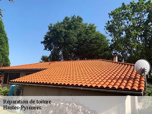 Réparation de toiture Hautes-Pyrénées