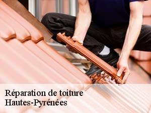 Réparation de toiture Hautes-Pyrénées 