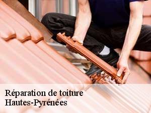 Réparation de toiture Hautes-Pyrénées