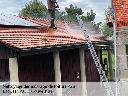 Nettoyage demoussage de toiture ade-65100