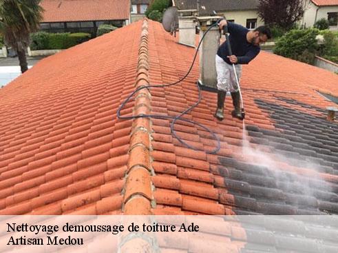 nettoyage-demoussage-de-toiture-artisan-medou-4