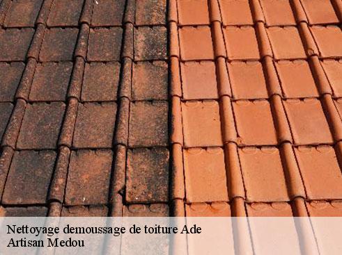 nettoyage-demoussage-de-toiture-artisan-medou-7