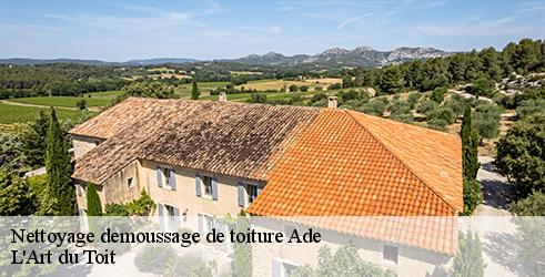 nettoyage-demoussage-de-toiture-l-art-du-toit-1