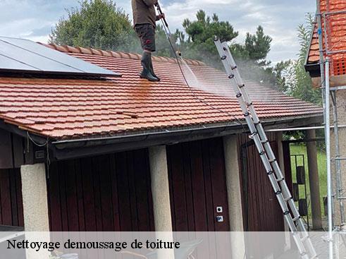 nettoyage-demoussage-de-toiture-asdp-couverture-3