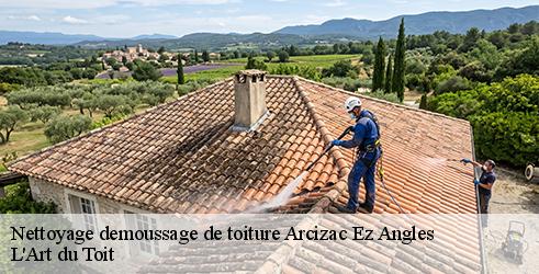 nettoyage-demoussage-de-toiture-l-art-du-toit-7