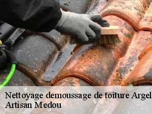 Nettoyage demoussage de toiture  argeles-65200 Artisan Medou