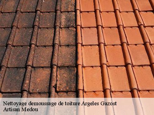 nettoyage-demoussage-de-toiture-artisan-medou-7