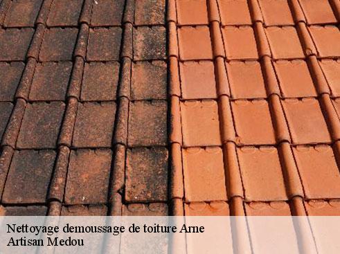nettoyage-demoussage-de-toiture-artisan-medou-7