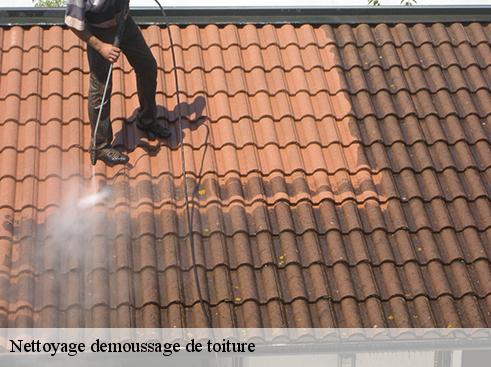 Nettoyage demoussage de toiture arras-en-lavedan-65400 BOUHNACH Couverture