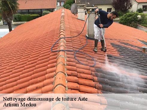 nettoyage-demoussage-de-toiture-artisan-medou-4