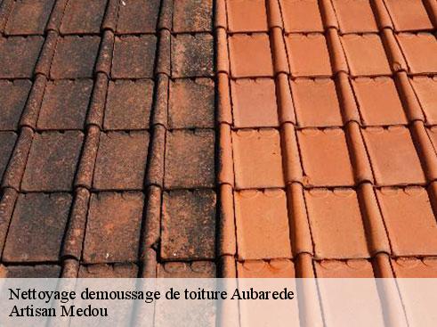 nettoyage-demoussage-de-toiture-artisan-medou-7