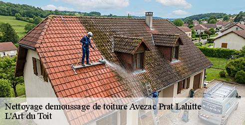 nettoyage-demoussage-de-toiture-l-art-du-toit-4