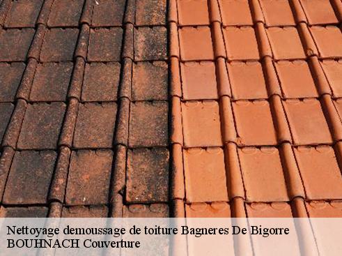 Nettoyage demoussage de toiture  65200