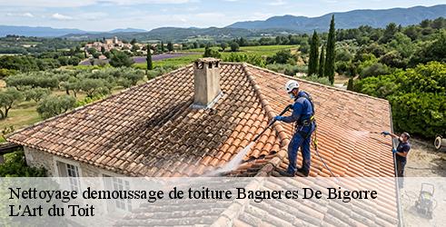 nettoyage-demoussage-de-toiture-l-art-du-toit-7