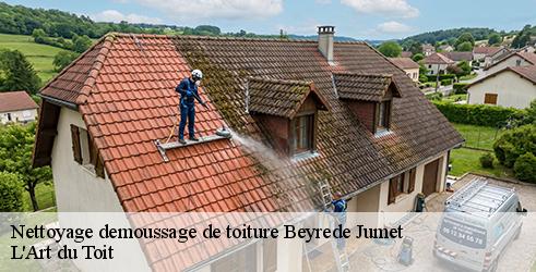 nettoyage-demoussage-de-toiture-l-art-du-toit-4