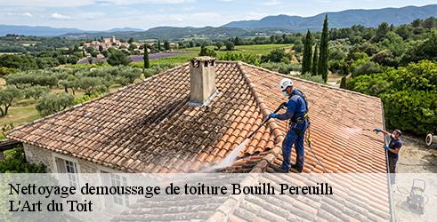 nettoyage-demoussage-de-toiture-l-art-du-toit-7