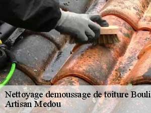 Nettoyage demoussage de toiture  boulin-65350 Artisan Medou