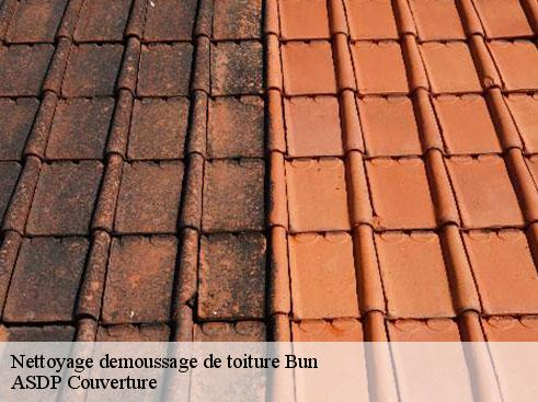 nettoyage-demoussage-de-toiture-asdp-couverture-7