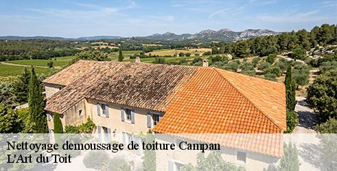 nettoyage-demoussage-de-toiture-l-art-du-toit-1