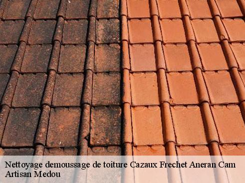 nettoyage-demoussage-de-toiture-artisan-medou-7