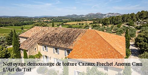 nettoyage-demoussage-de-toiture-l-art-du-toit-1