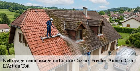 nettoyage-demoussage-de-toiture-l-art-du-toit-4