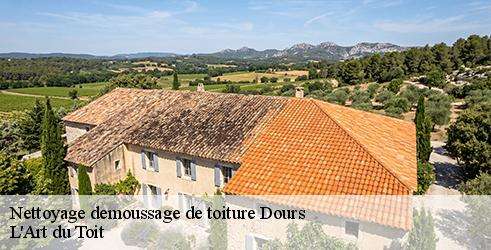 nettoyage-demoussage-de-toiture-l-art-du-toit-1
