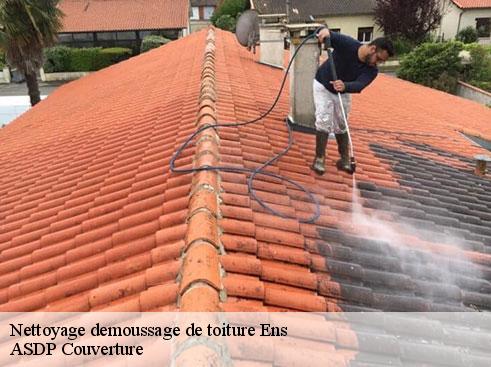 nettoyage-demoussage-de-toiture-asdp-couverture-4